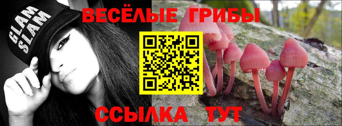 Лесосибирск  Галлюциногенные грибы Cubensis  Галлюциногенные грибы Psilocybe  Вход с VPN 
