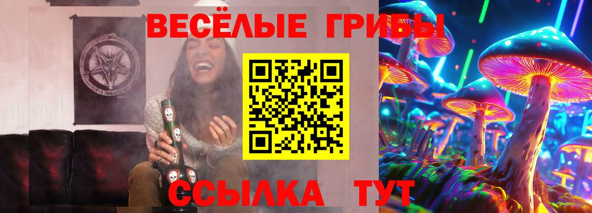 Псилоцибиновые грибы Psilocybe Лесосибирск